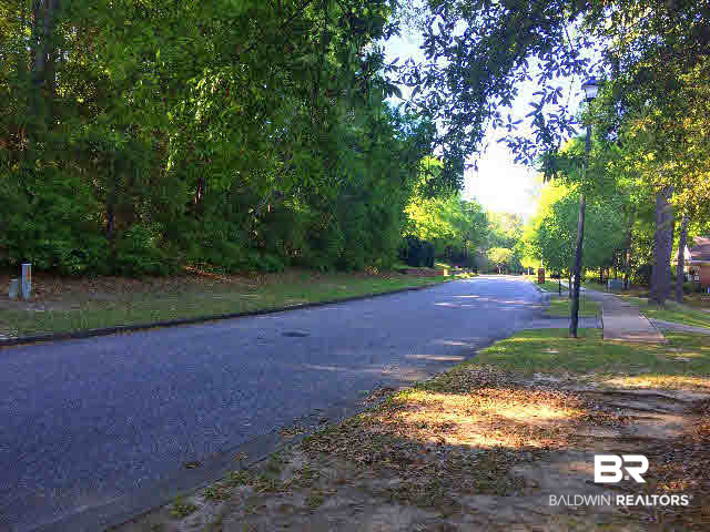 0 West Springhill Woods Drive West Mobile, AL 36608 - Photo 5 of 6