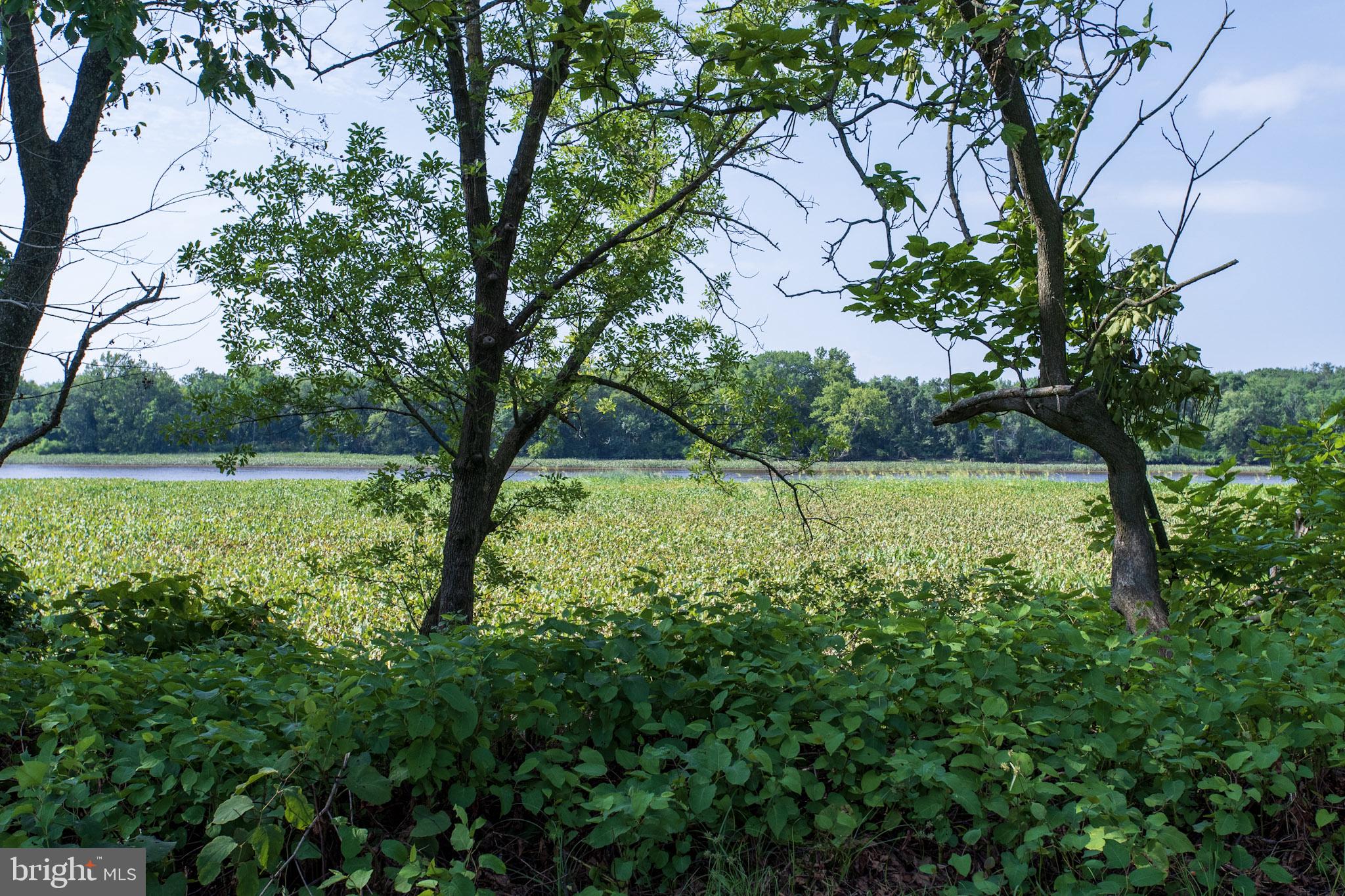 532 River Drive Riverside, NJ 08075 - Photo 26 of 26