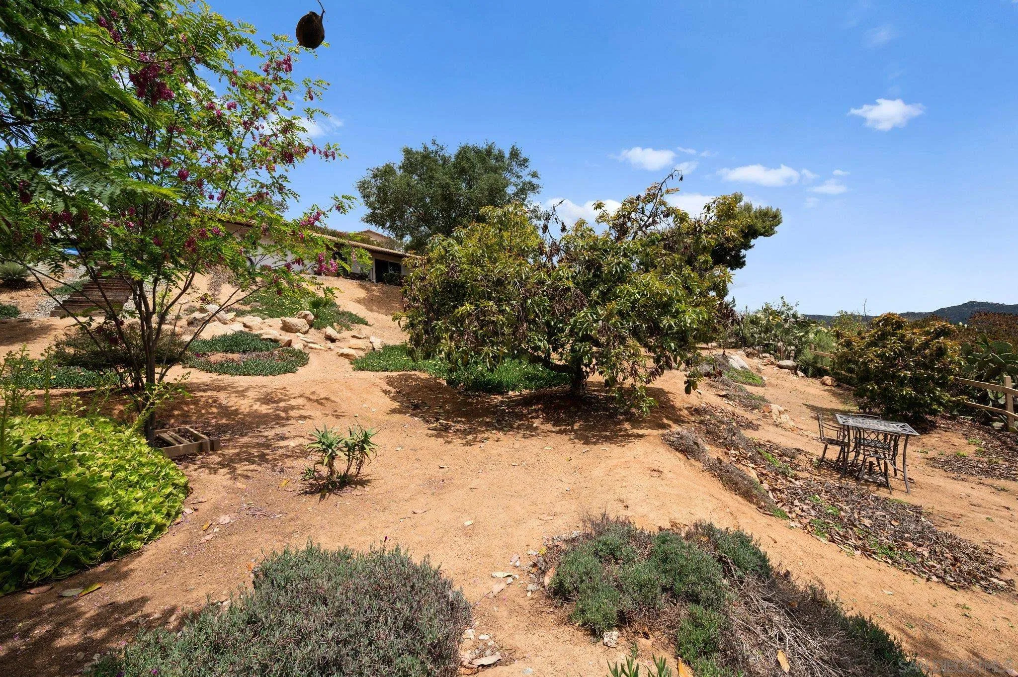 2189 Rockhoff Road Escondido, CA 92026 - Photo 53 of 60 a view of a yard with plants and trees