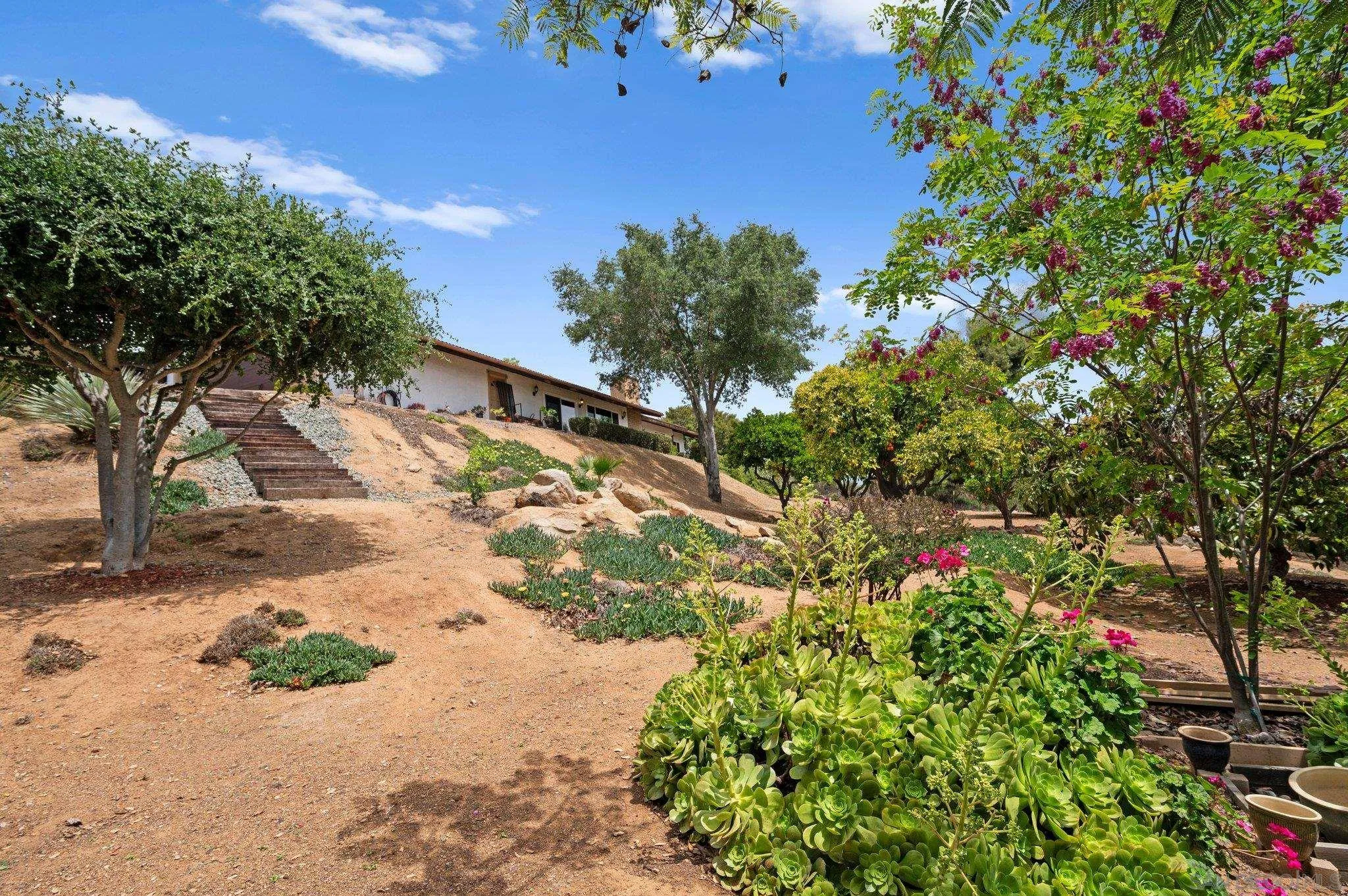 2189 Rockhoff Road Escondido, CA 92026 - Photo 54 of 60 a picture of flowers