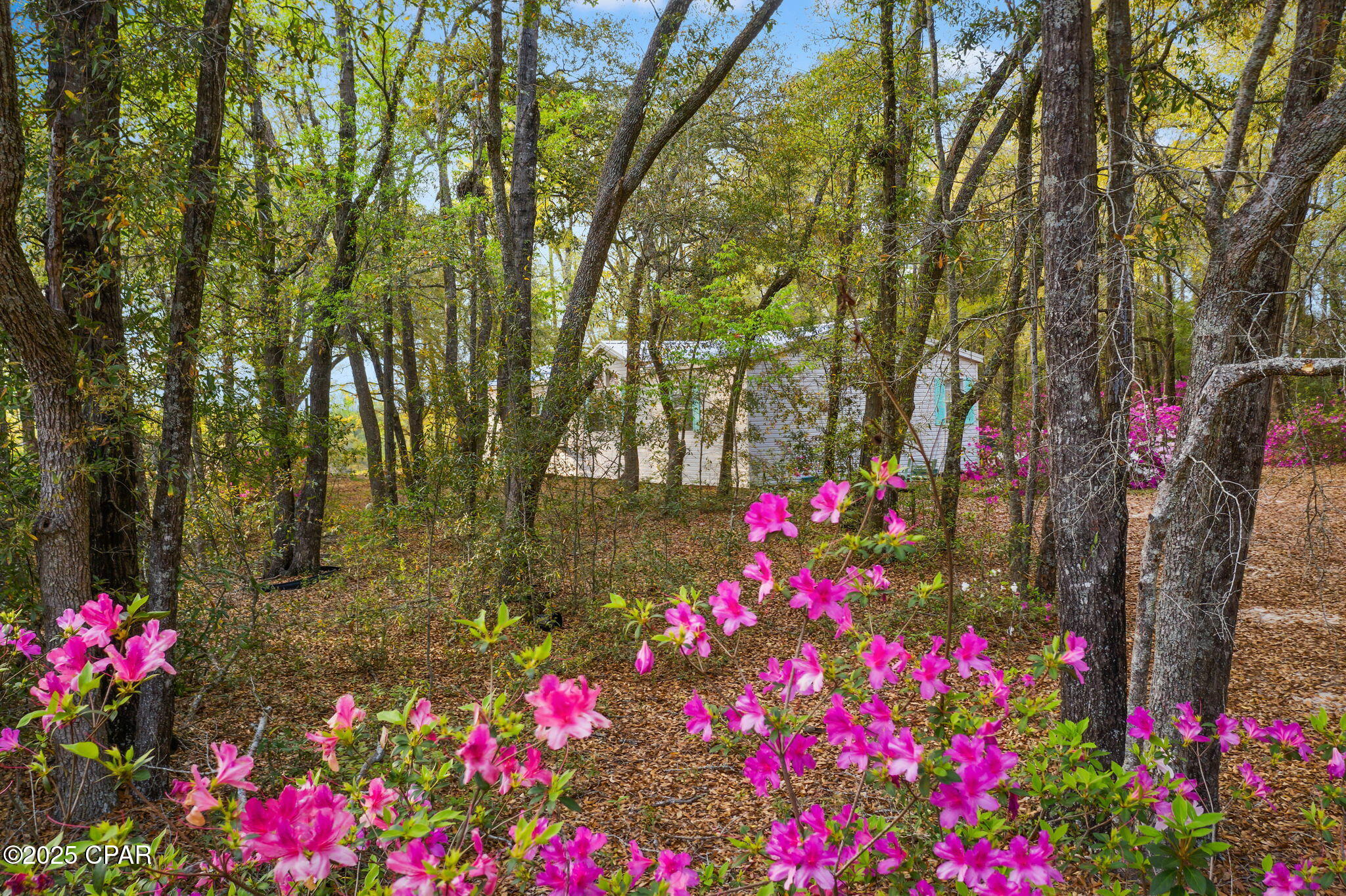 1416 Walker Road Graceville, FL 32440 - Photo 28 of 51