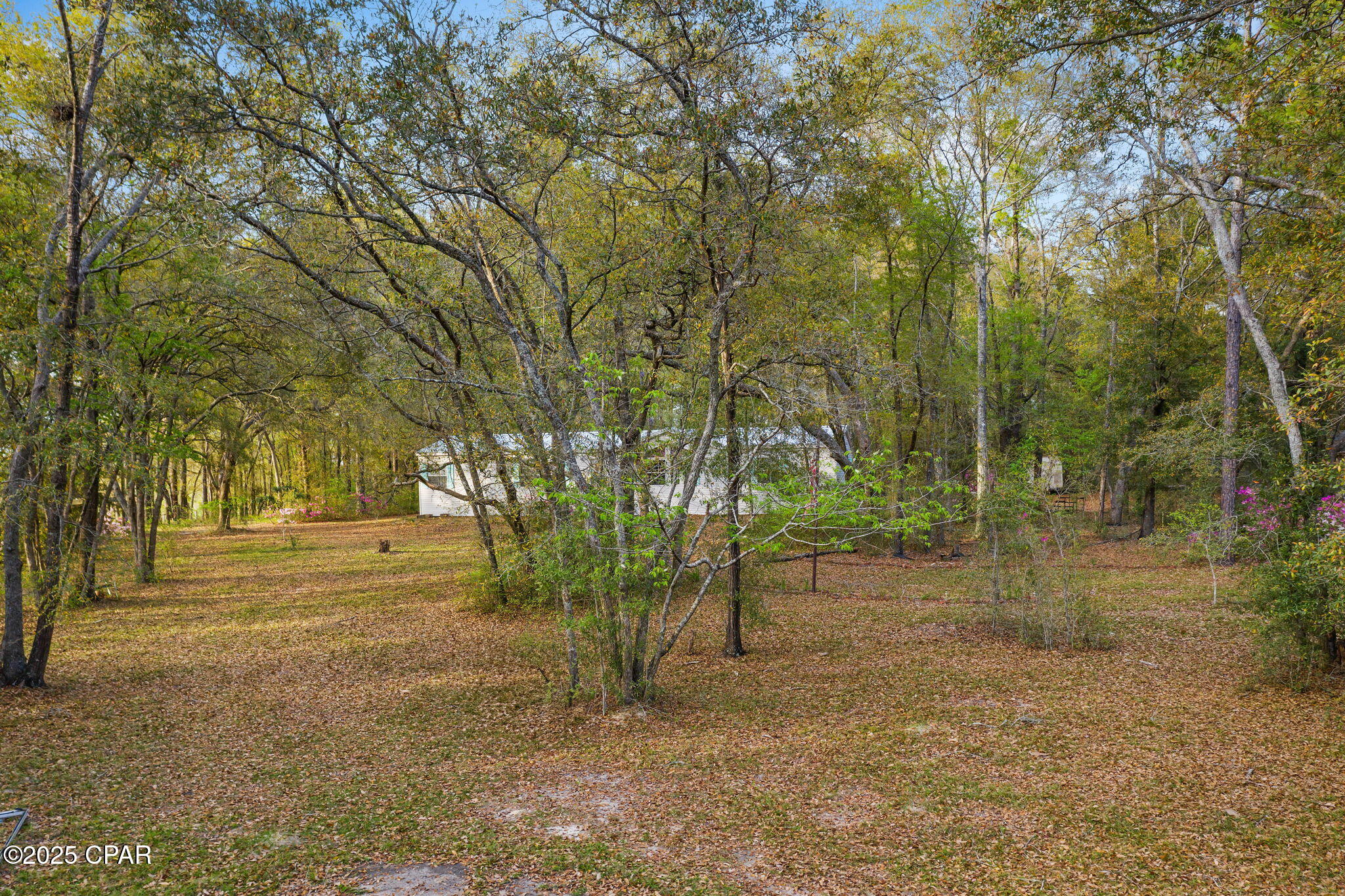 1416 Walker Road Graceville, FL 32440 - Photo 31 of 51