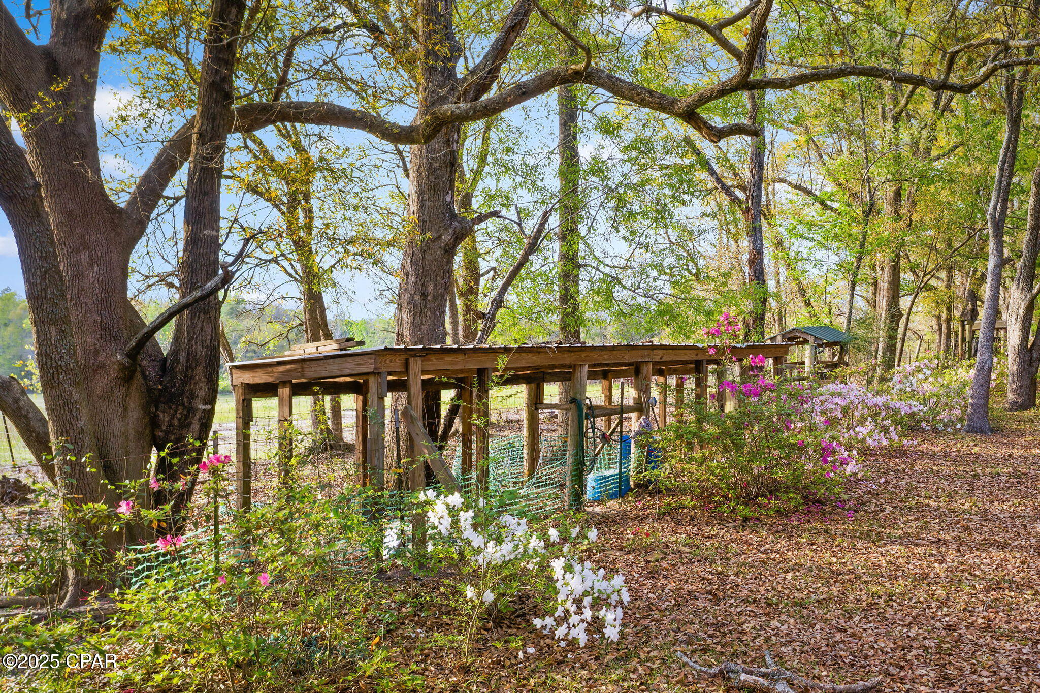 1416 Walker Road Graceville, FL 32440 - Photo 32 of 51