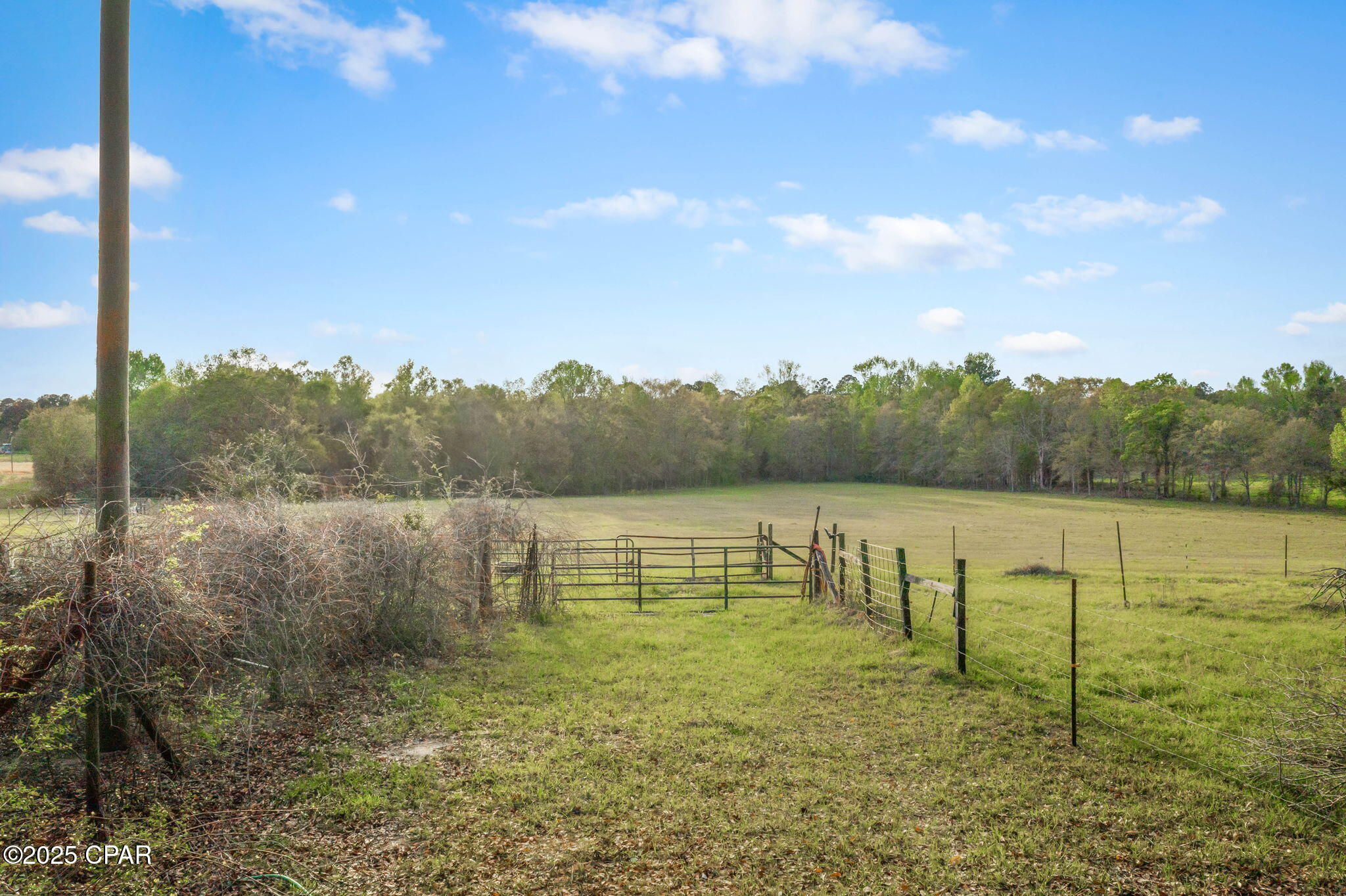 1416 Walker Road Graceville, FL 32440 - Photo 35 of 51