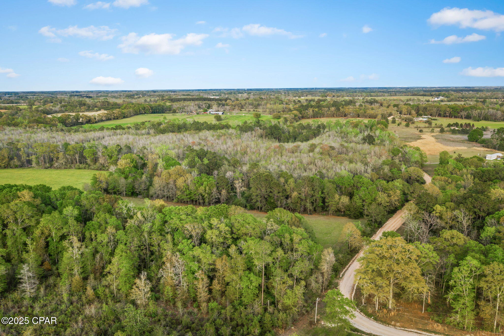 1416 Walker Road Graceville, FL 32440 - Photo 42 of 51