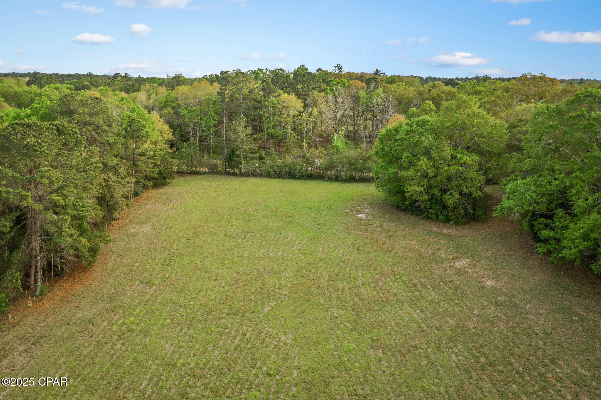 1416 Walker Road Graceville, FL 32440 - Photo 44 of 51