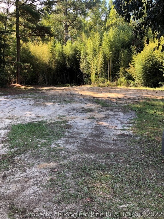 7216 Faircloth Bridge Road Stedman, NC 28391 - Photo 1 of 4 Gallery Image 1