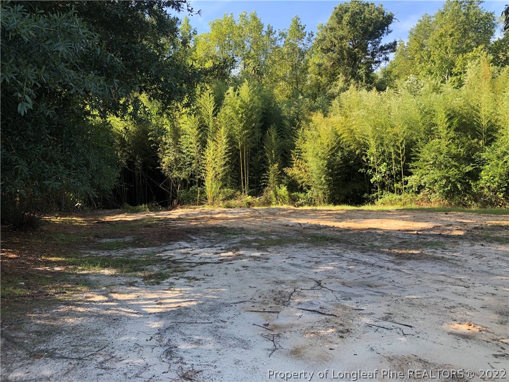 7216 Faircloth Bridge Road Stedman, NC 28391 - Photo 3 of 4 Gallery Image 3