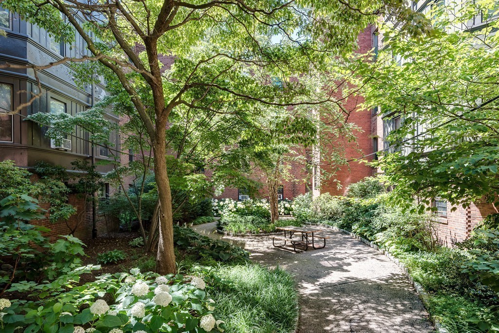 25 Lakeville Road, Unit 1 Boston, MA 02130 - Photo 14 of 16 Gallery Image 14