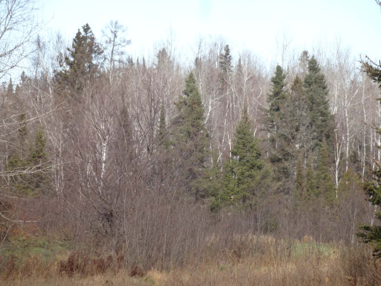 On On Premo Dam Road Amasa, MI 49903 - Photo 1 of 4 Gallery Image 1