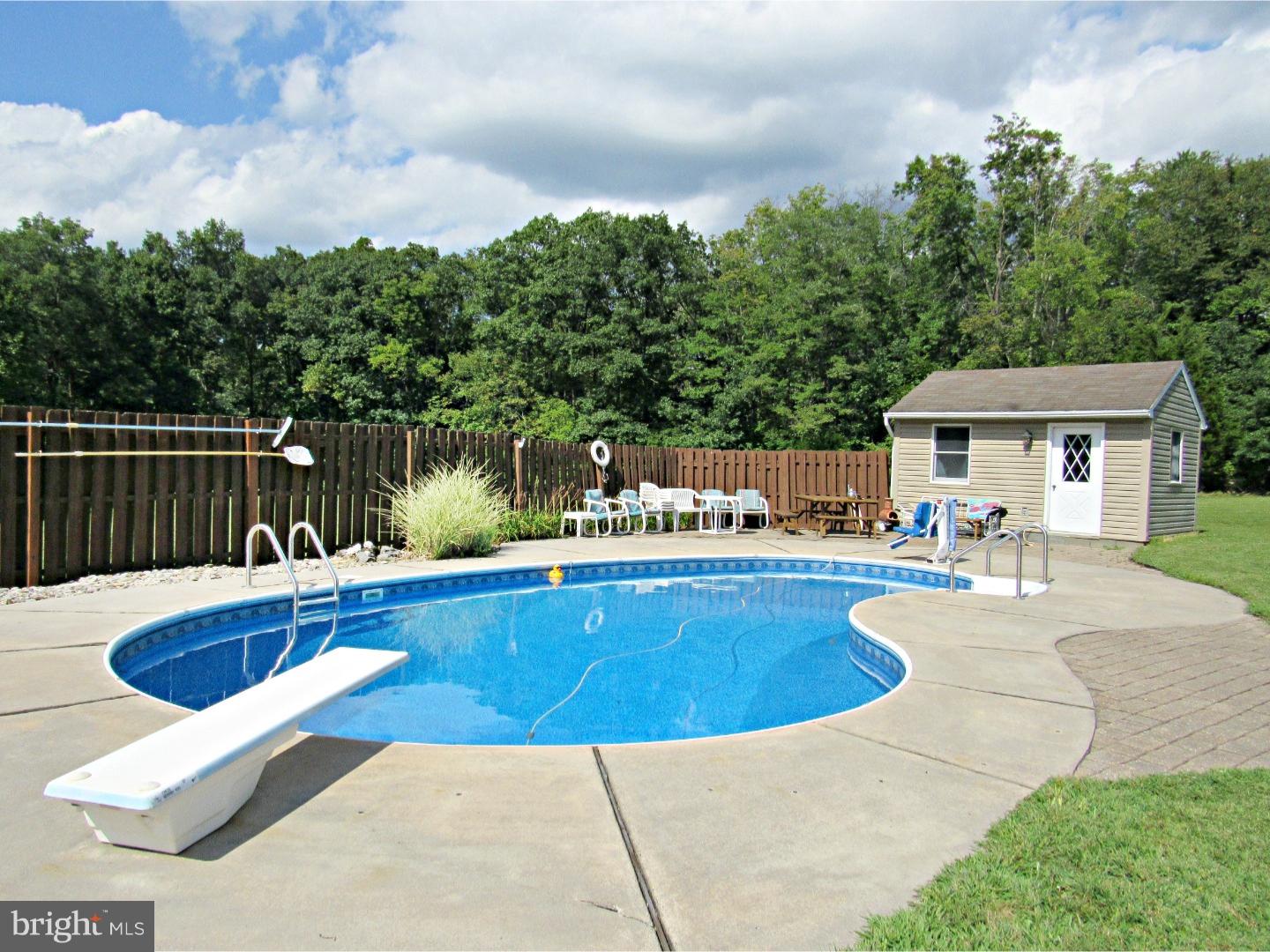 317 Clump Road Green Lane, PA 18054 - Photo 8 of 23 a view of a swimming pool with lounge chair