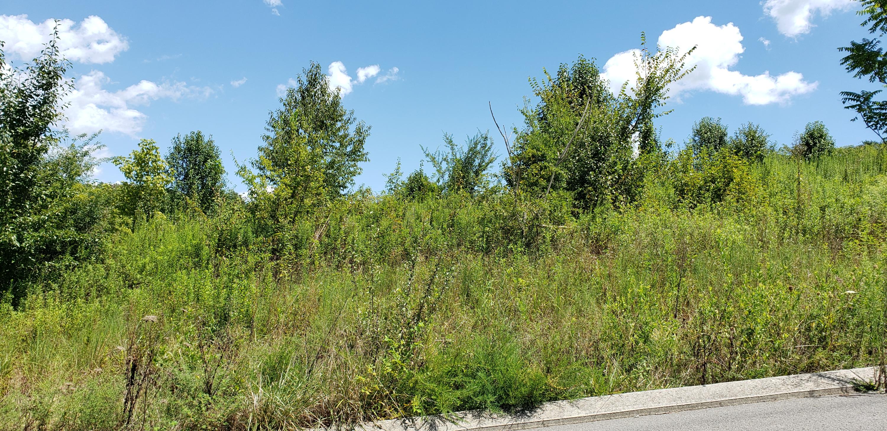 0 Hardin Road, Unit 60 Dunlap, TN 37327 - Photo 2 of 6 20190815_125945
