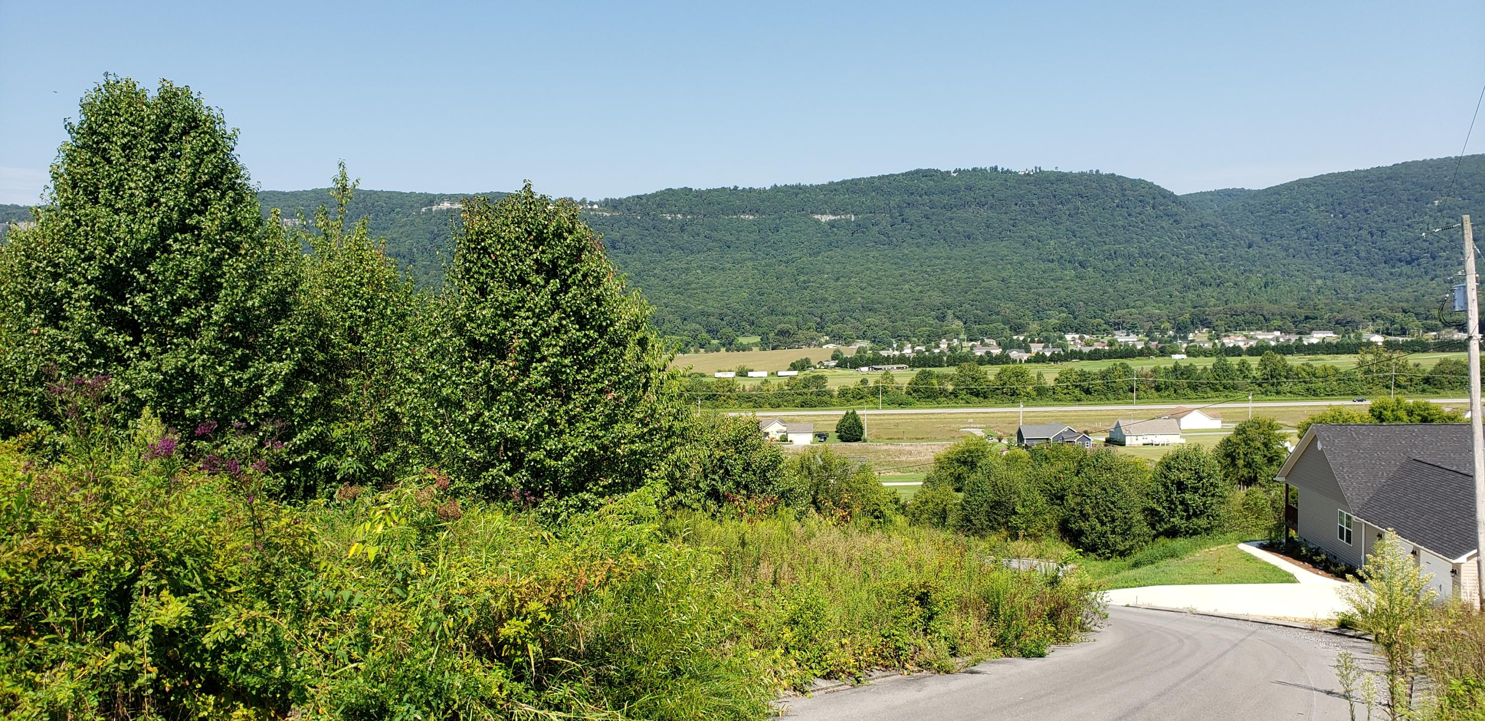0 Hardin Road, Unit 60 Dunlap, TN 37327 - Photo 5 of 6 20190820_101506
