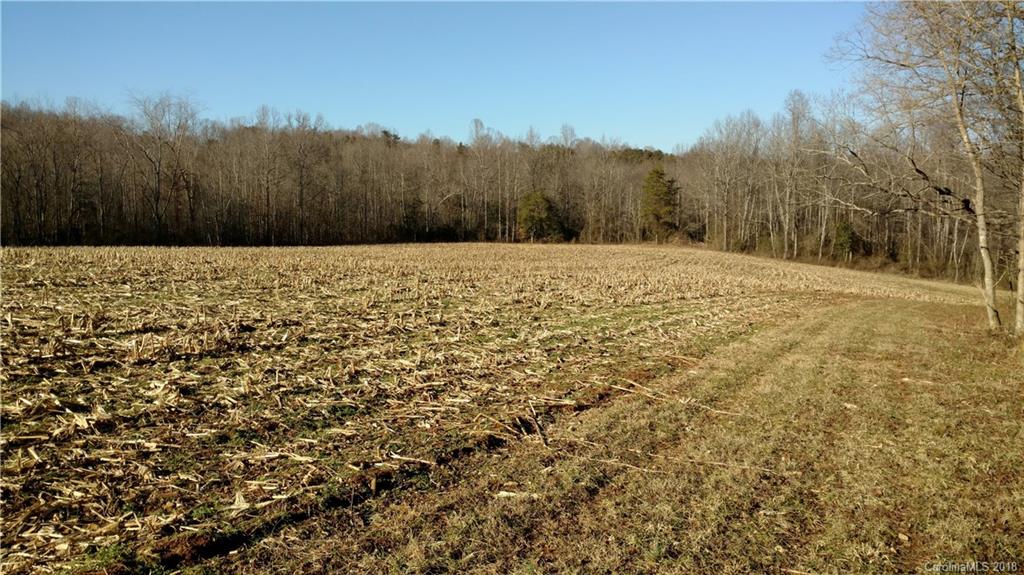 323 Harris Bridge Road Stony Point, NC 28678 - Photo 11 of 29 a view of a yard with trees in the background