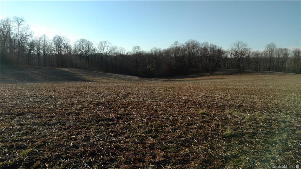 323 Harris Bridge Road Stony Point, NC 28678 - Photo 20 of 29 a view of a yard