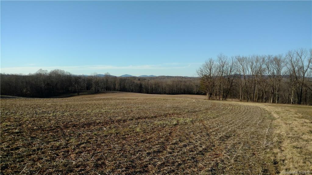 323 Harris Bridge Road Stony Point, NC 28678 - Photo 23 of 29 a view of a backyard