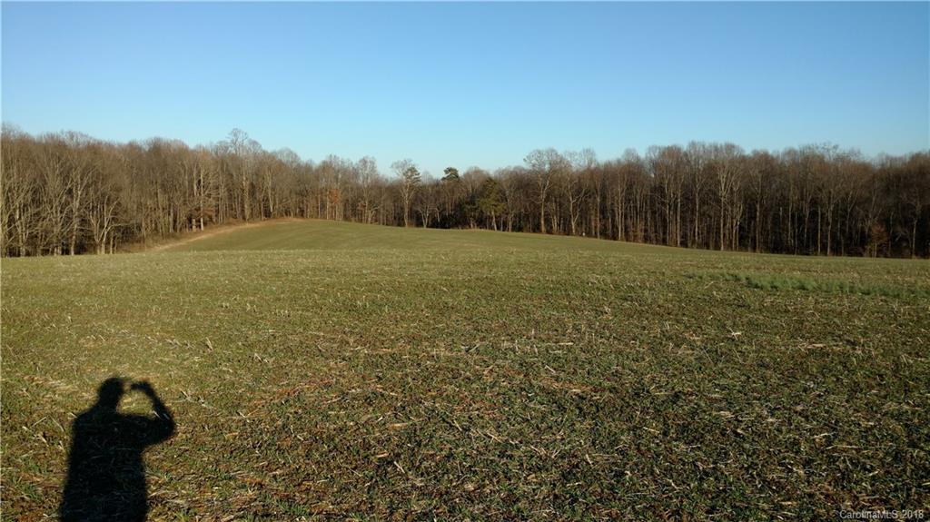 323 Harris Bridge Road Stony Point, NC 28678 - Photo 29 of 29 a view of outdoor space and yard