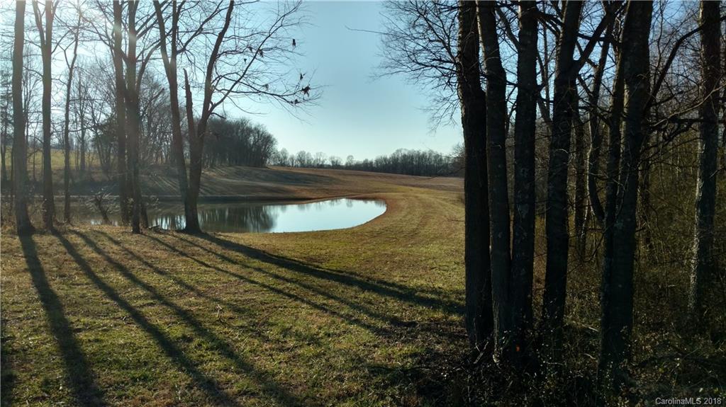 323 Harris Bridge Road Stony Point, NC 28678 - Photo 9 of 29 a view of a backyard of the house