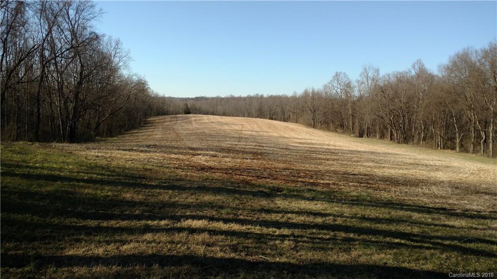 323 Harris Bridge Road Stony Point, NC 28678 - Photo 10 of 29 a view of ocean view