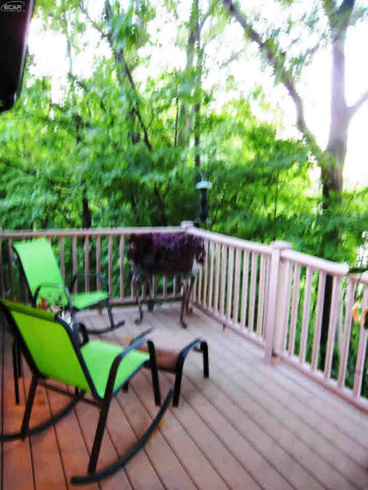 7388 East River Road Flushing, MI 48433 - Photo 16 of 94 21201751-15.JPG