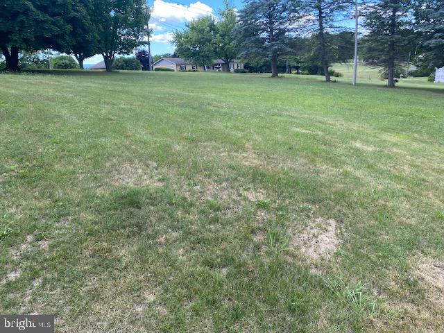 91 Vanormer Road McAlisterville, PA 17049 - Photo 10 of 25 Side yard 2