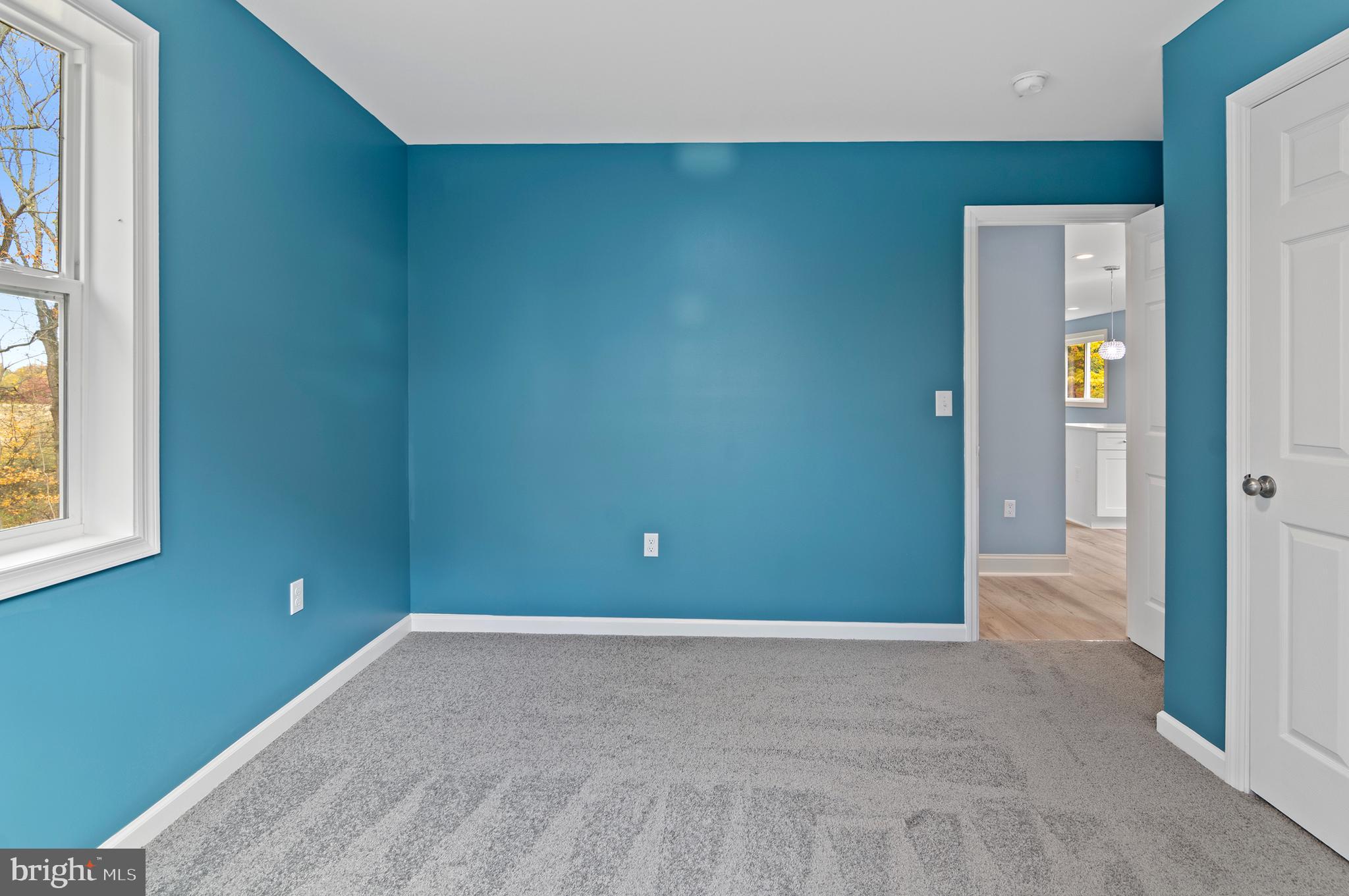 11353 Needam Road Worton, MD 21678 - Photo 19 of 31 Gallery Image 19