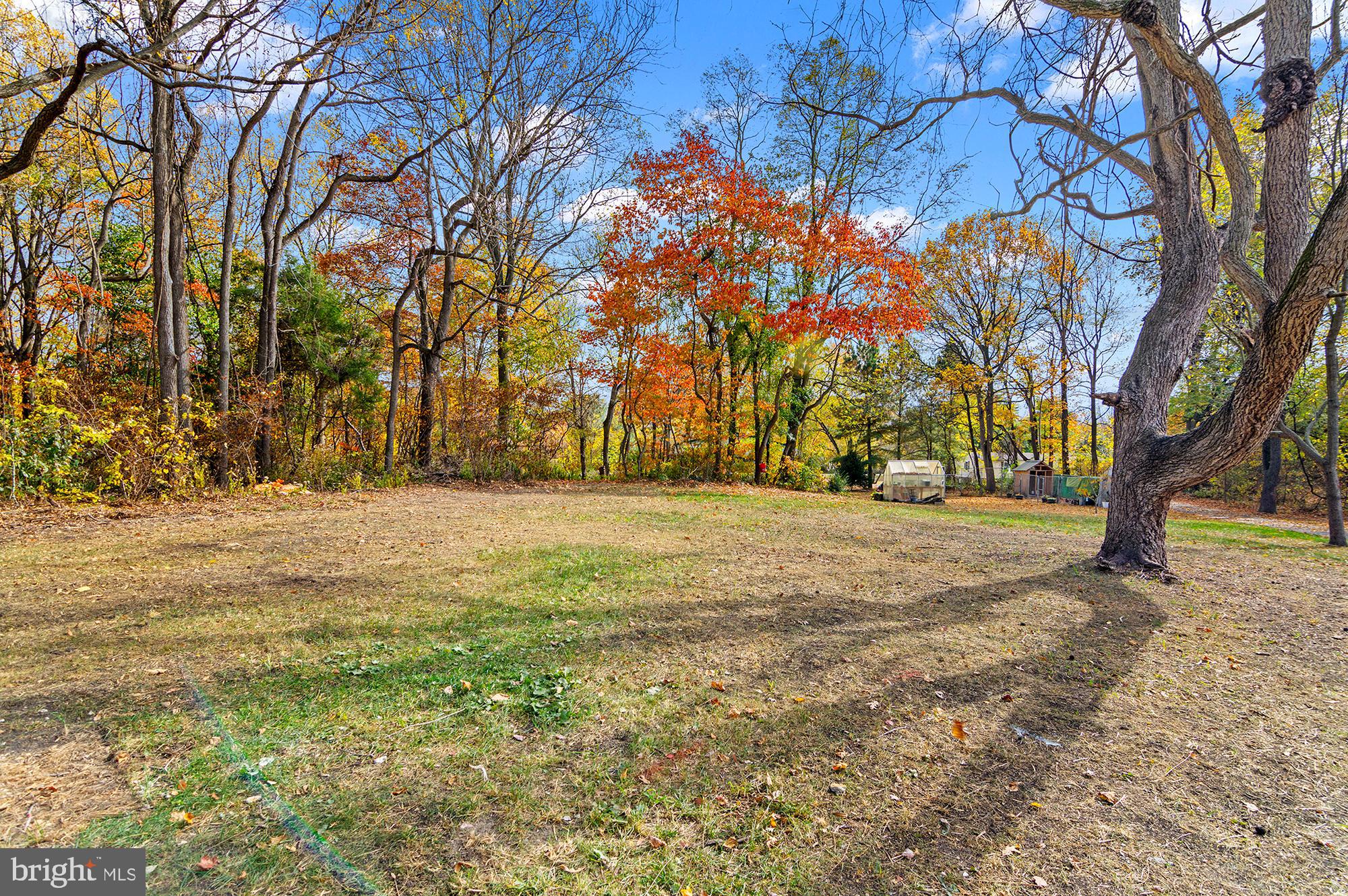 11353 Needam Road Worton, MD 21678 - Photo 30 of 31 Gallery Image 30