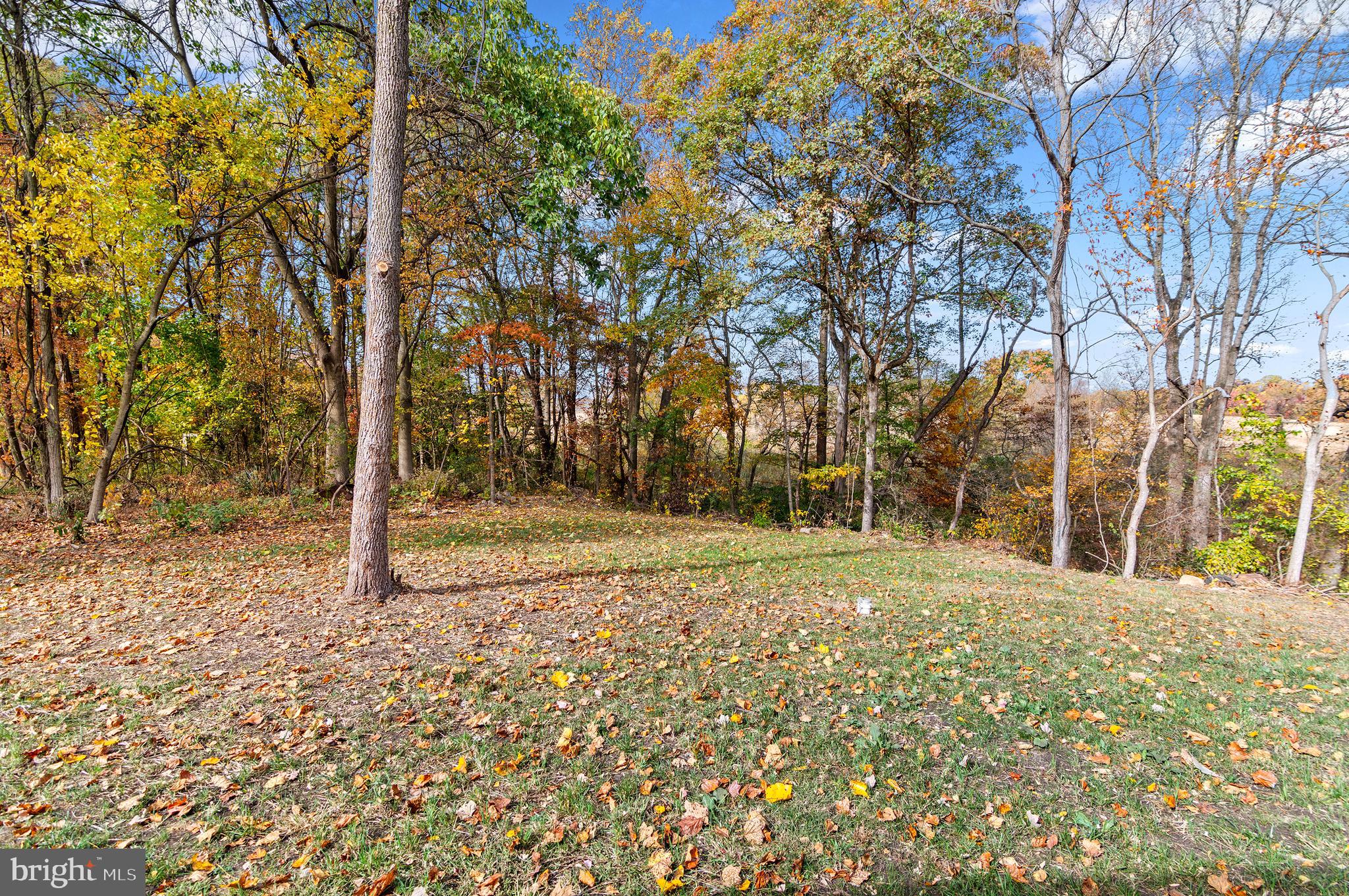 11353 Needam Road Worton, MD 21678 - Photo 31 of 31 Gallery Image 31