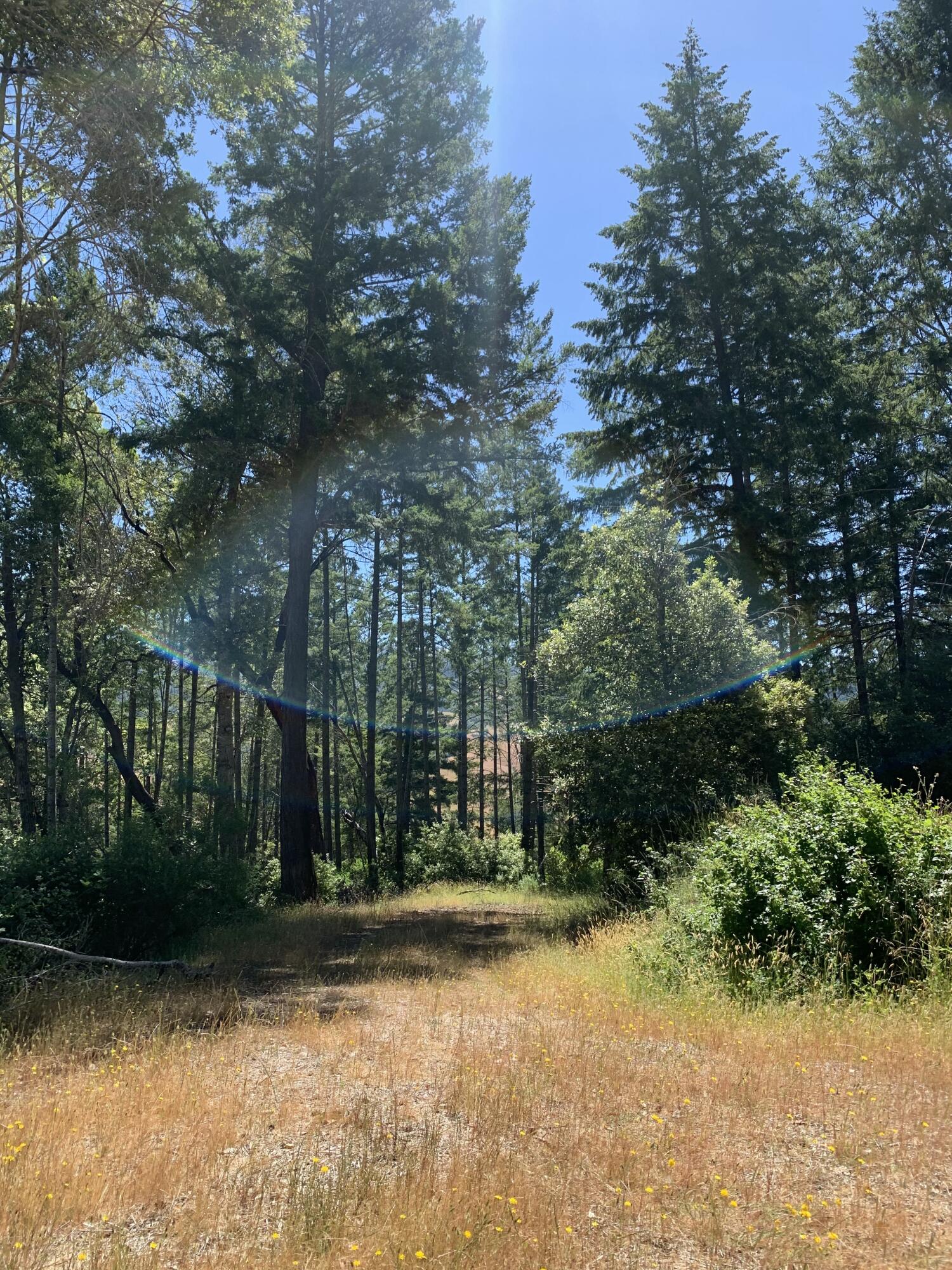 160-acres Alderpoint Road Alderpoint, CA 95511 - Photo 15 of 16