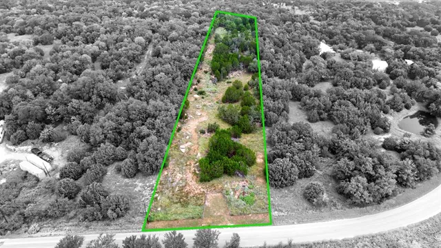 a view of a yard with plants