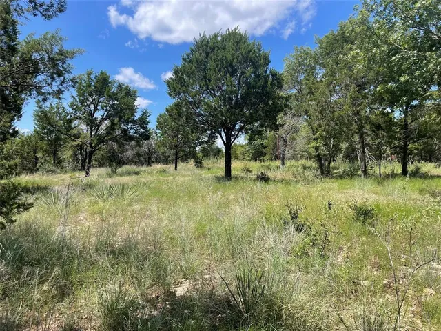 a big yard with lots of green space and deers