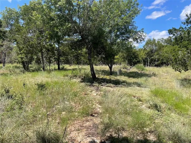 a view of outdoor space with trees all around