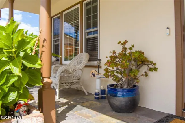 a potted plant sitting in front of a house