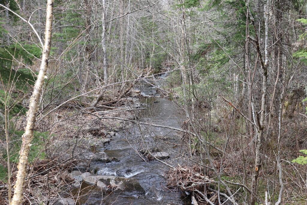 T11 R8 Wels Me 04732 Road Milo, ME 04463 - Photo 79 of 82 IMG_6151