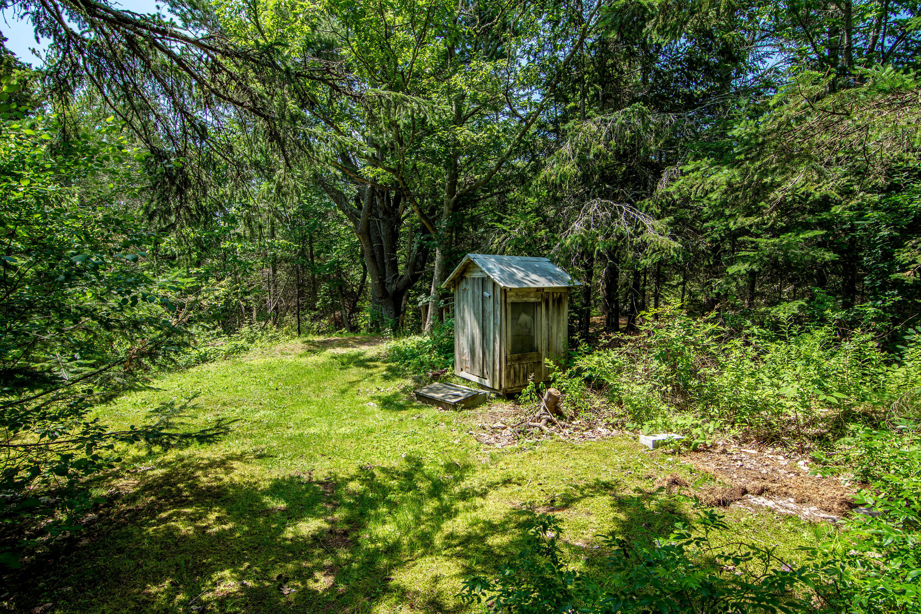 41 Byards Point Road Sargentville, ME 04673 - Photo 36 of 39 41 Byards Point Road Sedgwick-print-039-