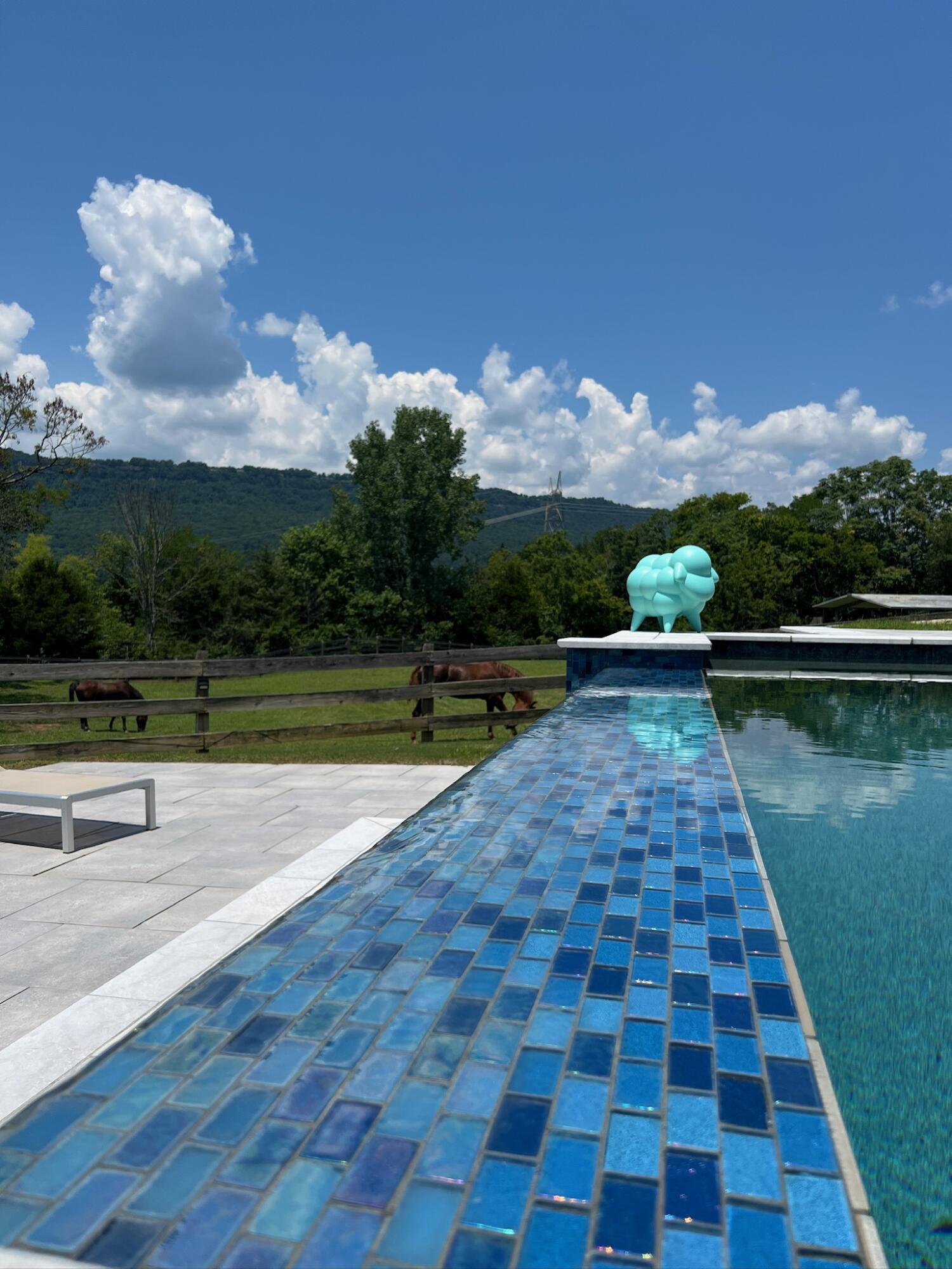 527 Reads Lake Road Chattanooga, TN 37415 - Photo 23 of 100 Pool - Inifinity edge