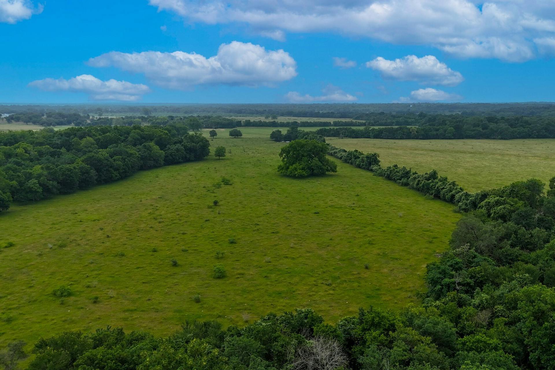 645 Jerrys Creek Road Lockhart, TX 78644 - Photo 1 of 16