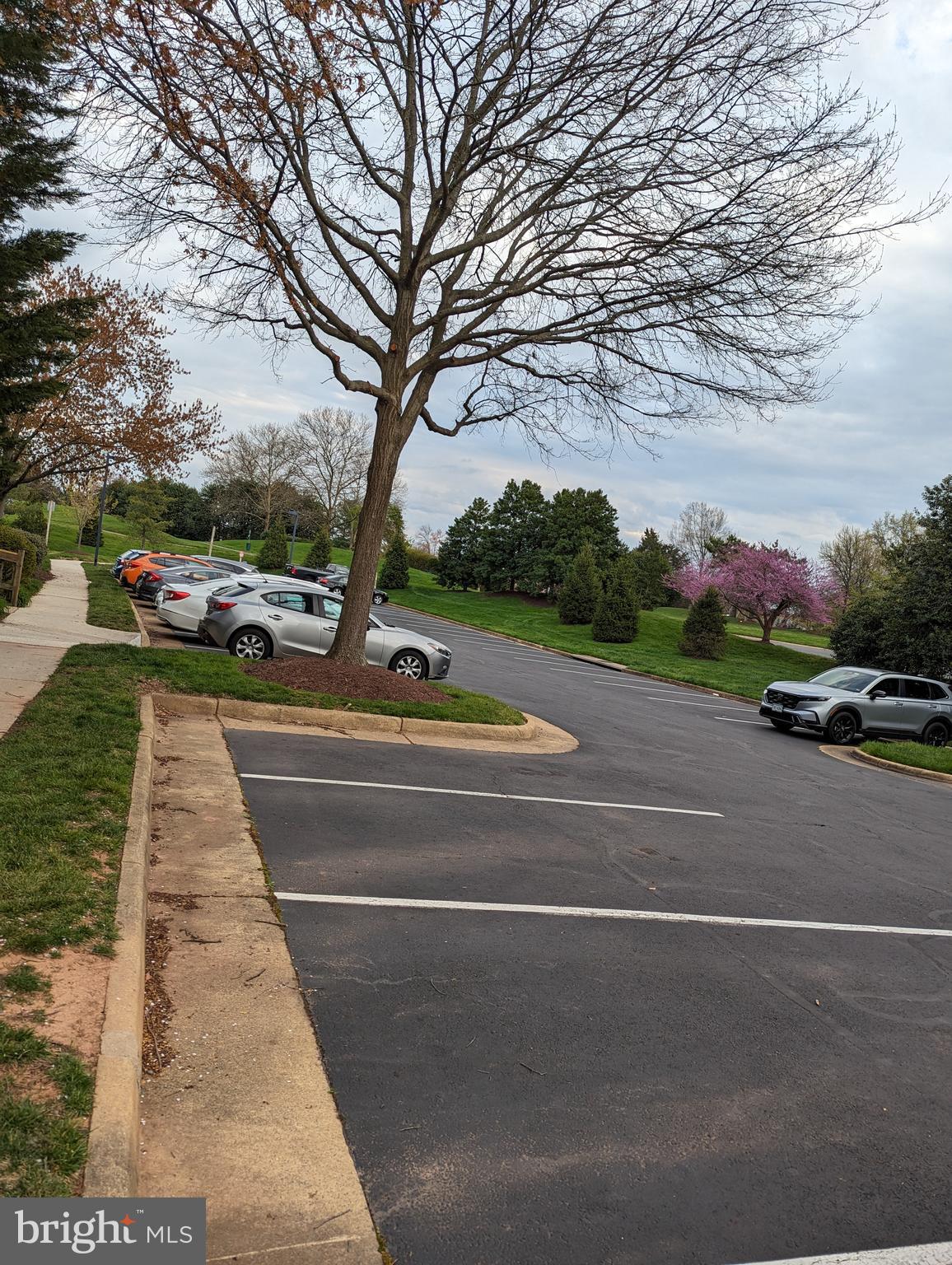 21009 Timber Ridge Terrace, Unit 104 Ashburn, VA 20147 - Photo 14 of 18 Parking Lot
