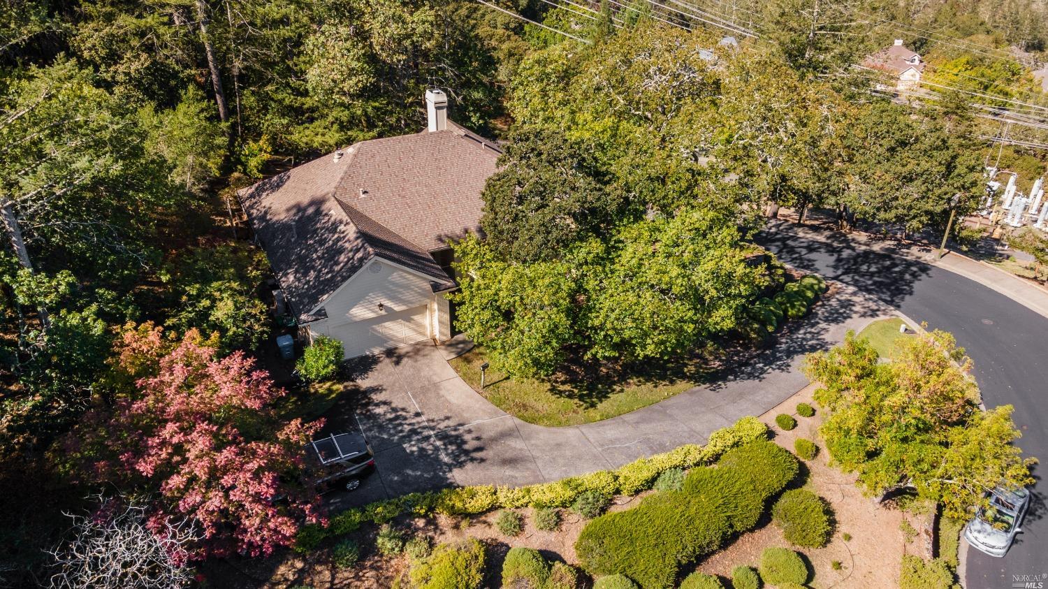 a view of a tree and a yard