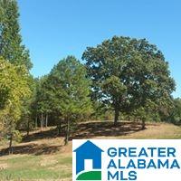 9 Highway 9 Lineville, AL 36266 - Photo 3 of 8