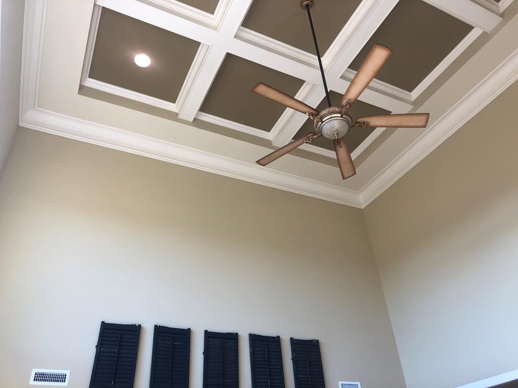 1195 County Line Road Dothan, AL 36305 - Photo 14 of 54 Living Room Ceiling