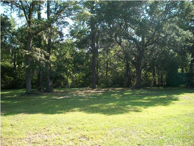 5514 Chisolm Road Johns Island, SC 29455 - Photo 3 of 4 Additional Photo