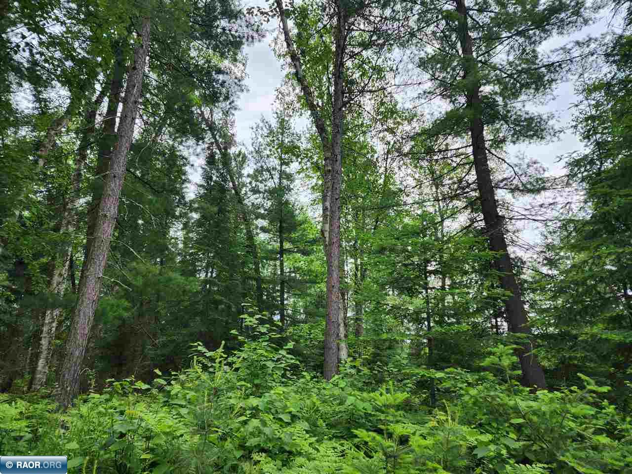 52 County Road 52 Bigfork, MN 56628 - Photo 1 of 10