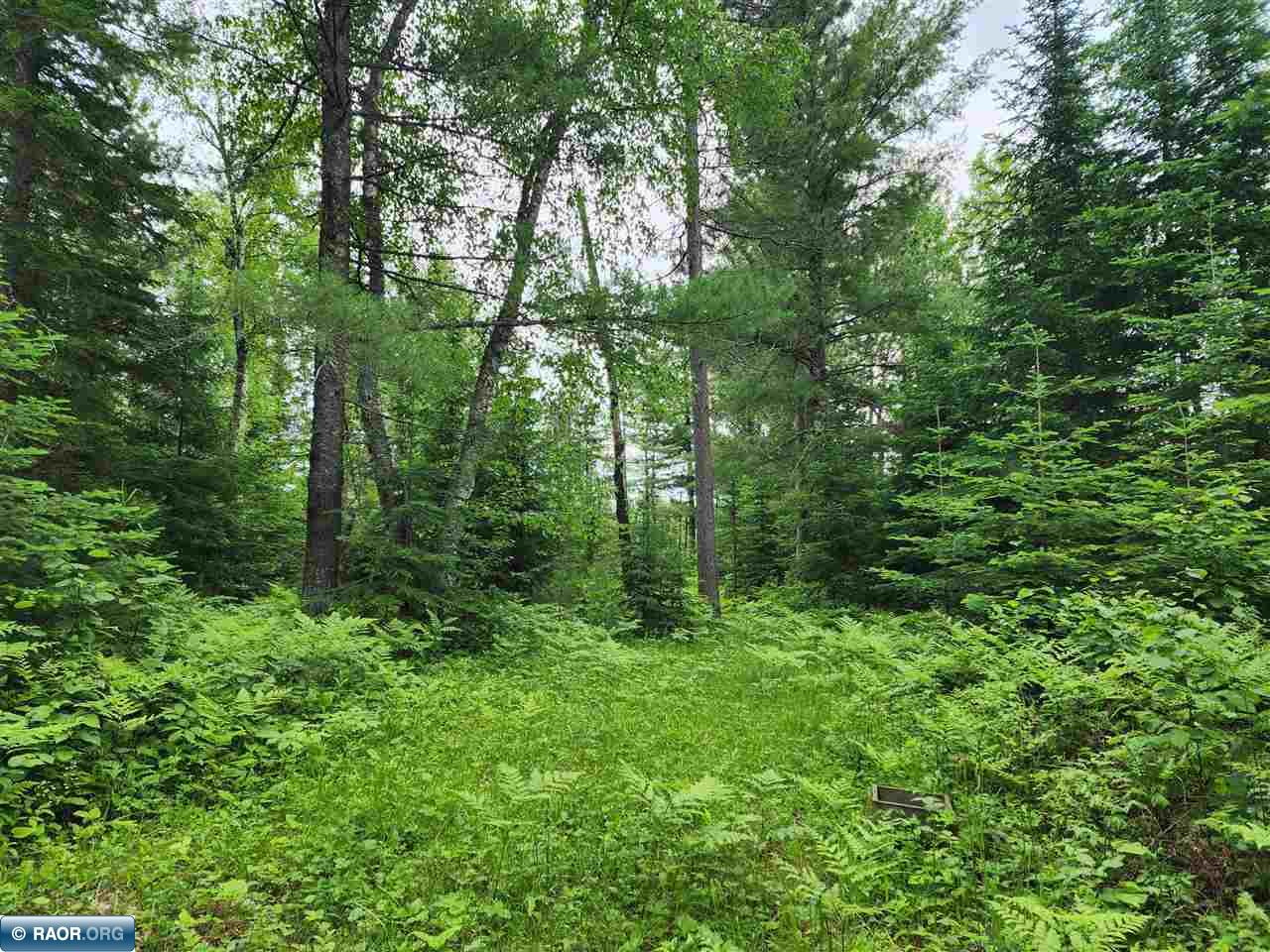 52 County Road 52 Bigfork, MN 56628 - Photo 2 of 10