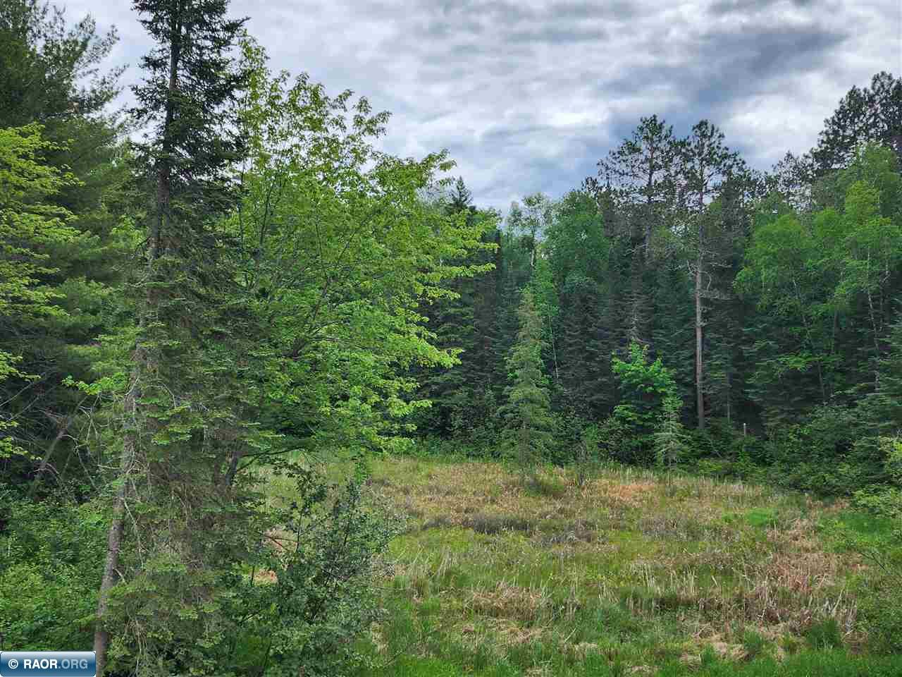 52 County Road 52 Bigfork, MN 56628 - Photo 3 of 10