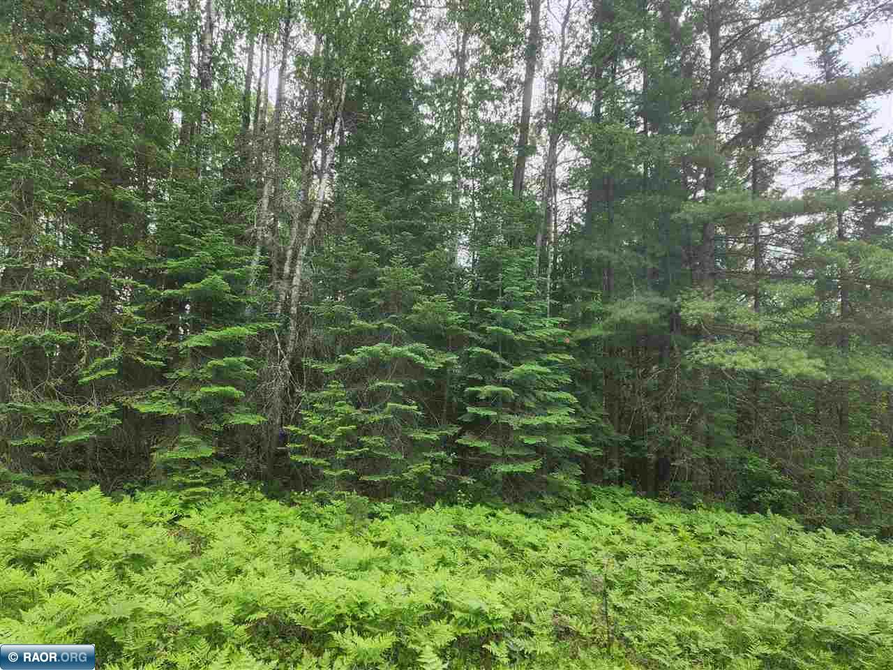 52 County Road 52 Bigfork, MN 56628 - Photo 5 of 10