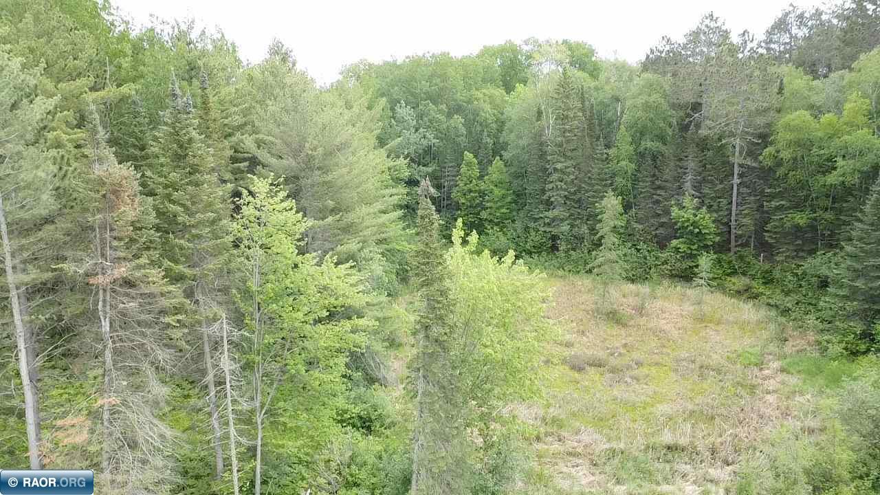 52 County Road 52 Bigfork, MN 56628 - Photo 6 of 10
