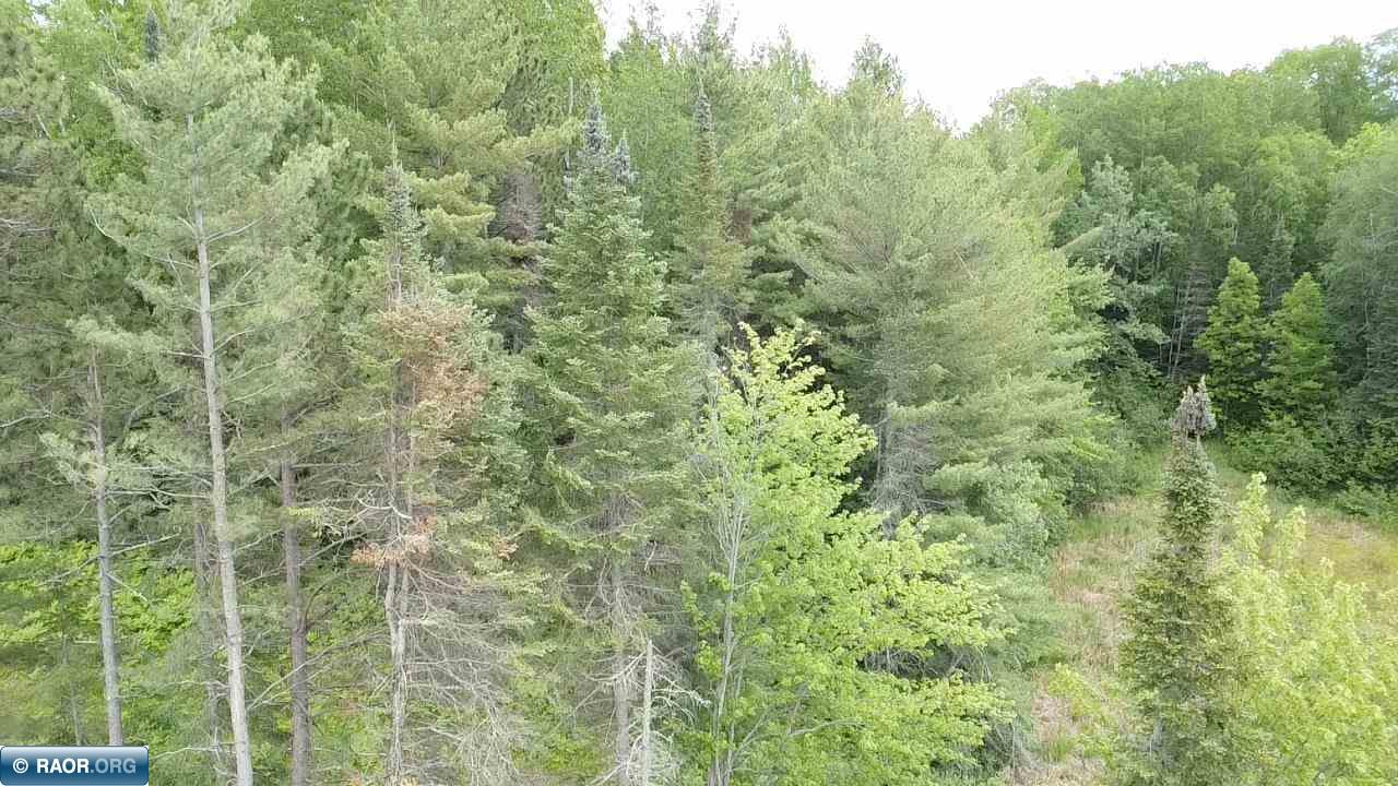 52 County Road 52 Bigfork, MN 56628 - Photo 7 of 10