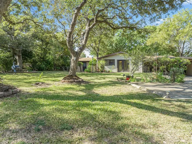 a view of a garden with a tree