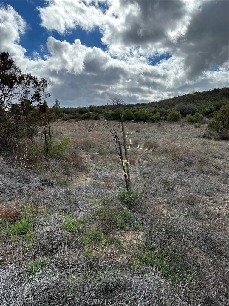 34930 East Benton Road Hemet, CA 92544 - Photo 42 of 54 View of parcel.